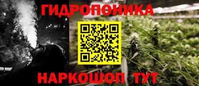 PSILOCYBIN Новодвинск